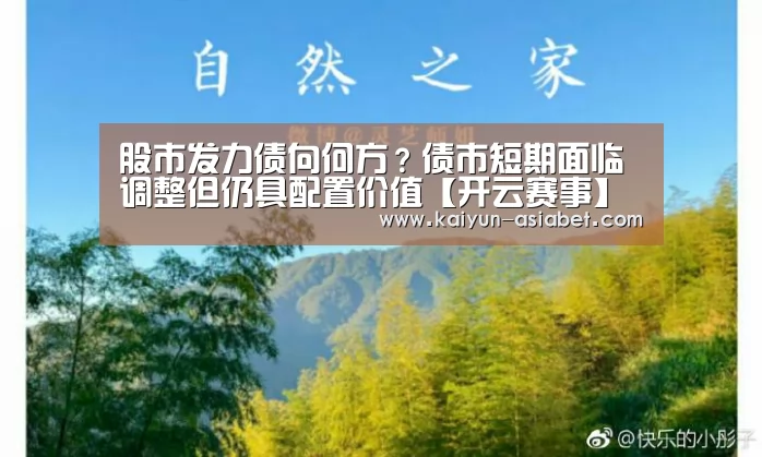 股市发力债向何方?债市短期面临调整但仍具配置价值【开云赛事】(图2) 开云赛事