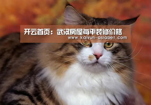开云首页:武汉房屋每平装修价格(图1) 开云频道