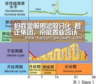 开云频道