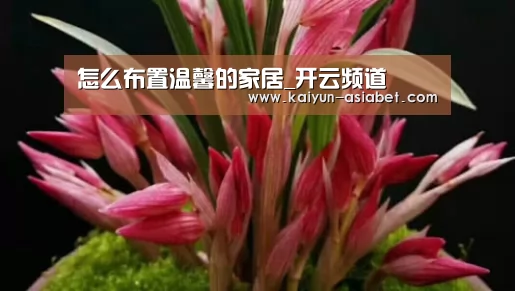 开云官方