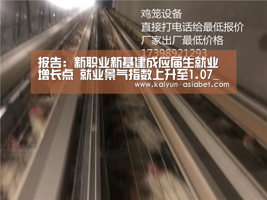 开云官方